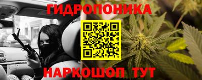 Альфа ПВП Ипатово