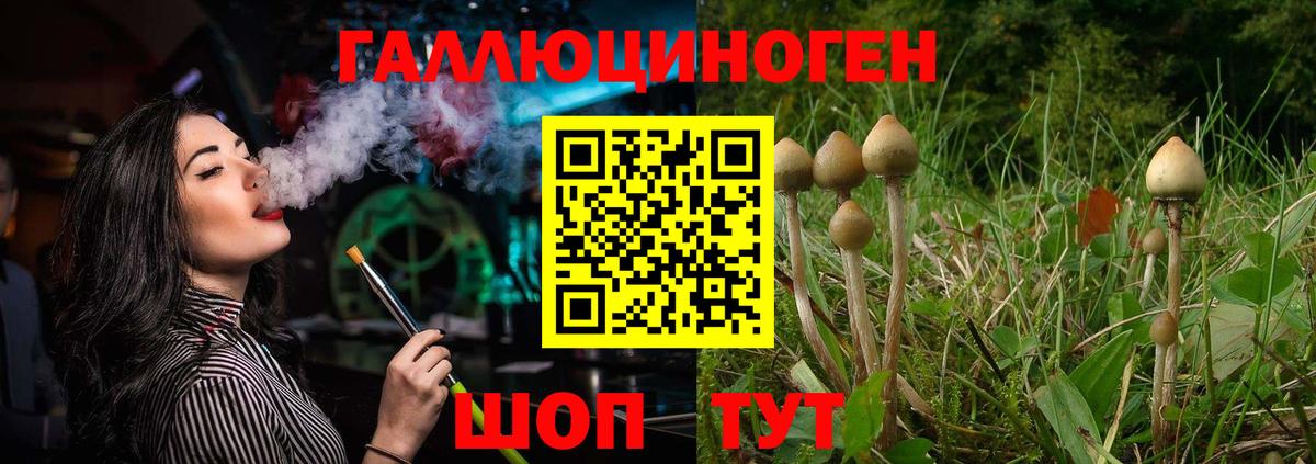 Галлюциногенные грибы MAGIC MUSHROOMS  Псилоцибиновые грибы мицелий  Вход с VPN  Кировск 